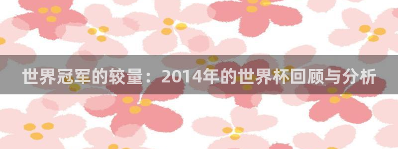 世界杯 赛程：世界冠军的较量：2014年的世界杯回顾与分析