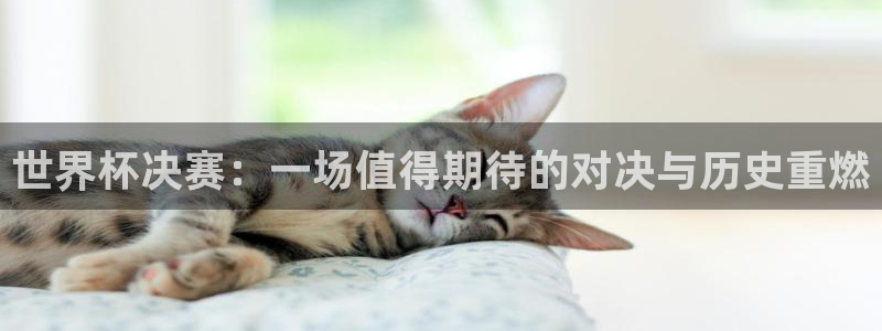 葡萄牙世界杯赛程：世界杯决赛：一场值得期待的对决与历史重燃