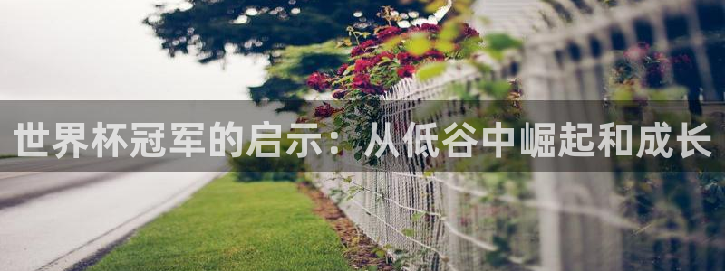 2026世预赛赛程：世界杯冠军的启示：从低谷中崛起和成长