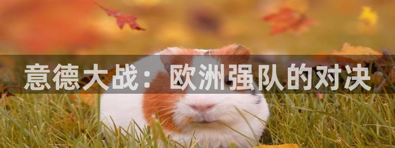 欧洲世预赛赛程表：意德大战：欧洲强队的对决