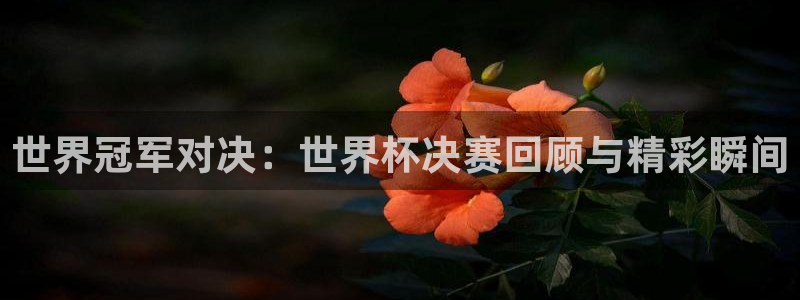 世界杯2026赛程表：世界冠军对决：世界杯决赛回顾与精彩瞬间