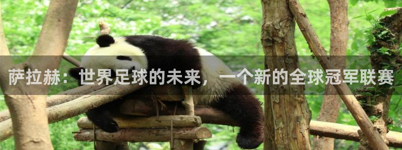 2026世界杯小组赛赛程时间表：萨拉赫：世界足球的未来，一个新的全球冠军联赛