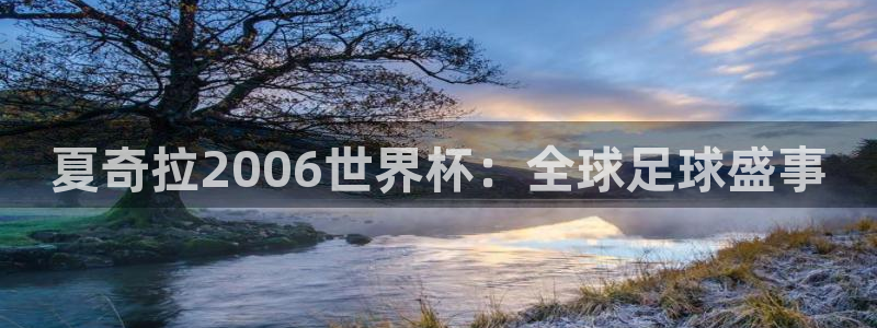 2026葡萄牙杯赛程表：夏奇拉2006世界杯：全球足球盛事