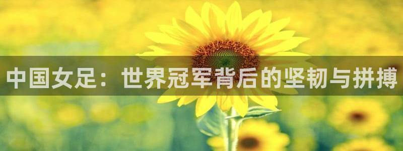2026世界杯亚洲预选赛：中国女足：世界冠军背后的坚韧与拼搏