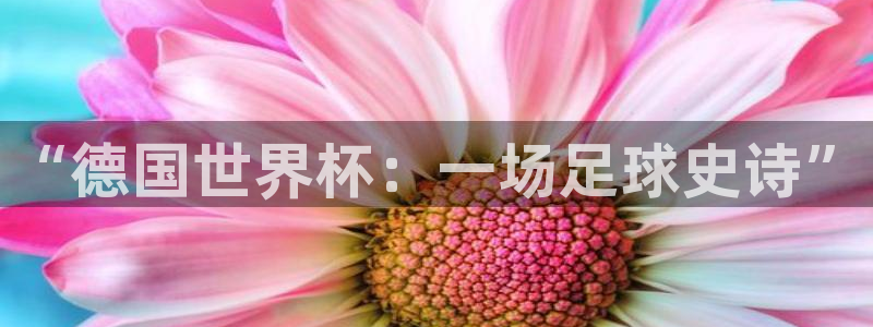 世界杯比赛赛程：“德国世界杯：一场足球史诗”