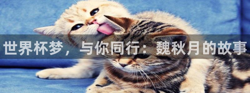 世界杯球队：世界杯梦，与你同行：魏秋月的故事