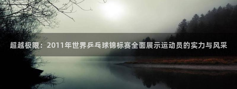世界杯决赛直播：超越极限：2011年世界乒乓球锦标赛全面展示运动员的实力与风采