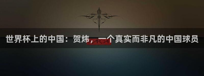 世界杯2026赛程：世界杯上的中国：贺炜，一个真实而非凡的中国球员