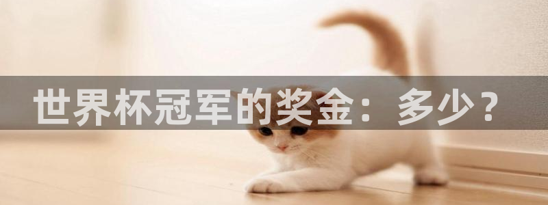 国际足联世界杯：世界杯冠军的奖金：多少？