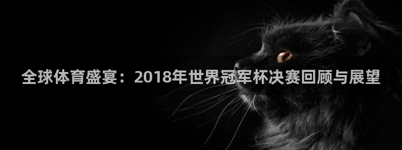 世界杯预选赛赛程时间表：全球体育盛宴：2018年世界冠军杯决赛回顾与展望